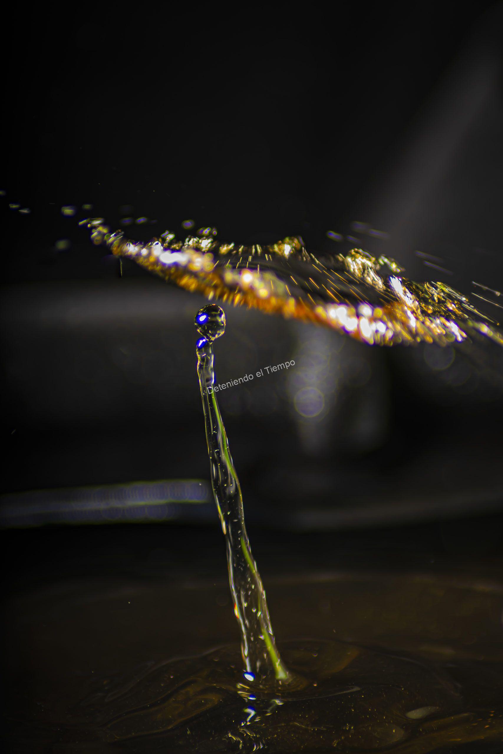 Estudio de Fotografía Deteniendo el Tiempo