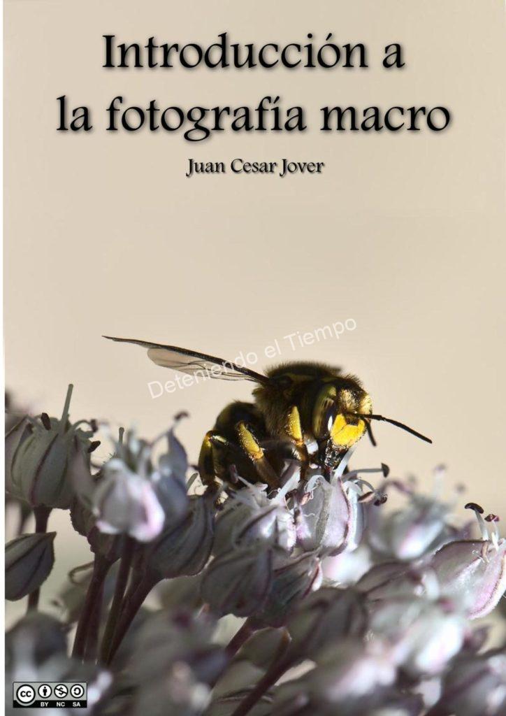 Introduccion-a-la-fotografia-macro-pdf-724×1024