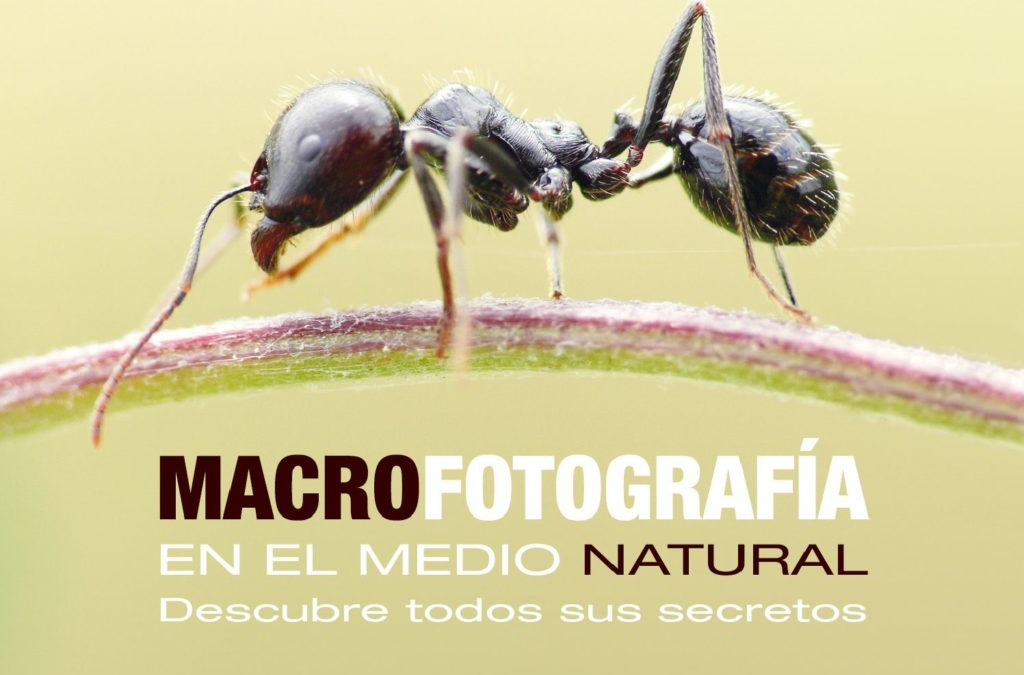 Libro «Macro fotografia»