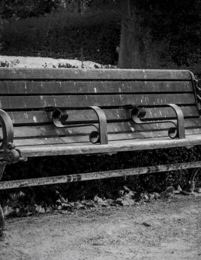 banco, banco vacío, parque, blanco y negro, fotografía artística, nostalgia, soledad, reflexión, silencio, tranquilidad, melancolía, descanso, paisaje urbano, mobiliario urbano, jardín, naturaleza, recuerdo, tiempo, contemplación, serenidad, minimalismo, composición clásica, camino, otoño, detalle, atmósfera, evocación, espacio vacío, calma, fotografía emocional