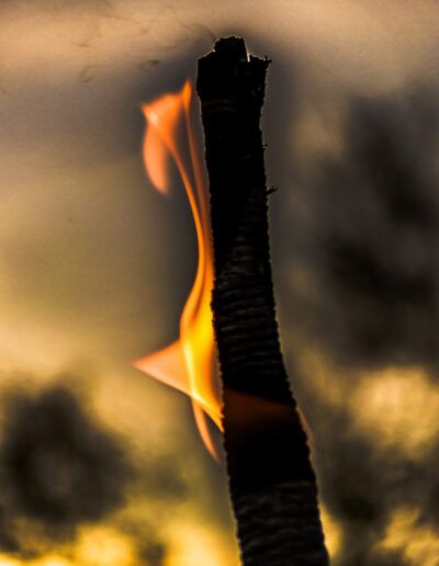 fuego, llama, combustión, calor, energía, rama quemada, madera, incendio, fuego artístico, minimalismo, abstracción, textura, silueta, luz cálida, naranja, amarillo, oscuridad, contraste, naturaleza, transformación, poder, elemento fuego, arte conceptual, detalle, macro, atmósfera, dramatismo, iluminación, movimiento, creatividad