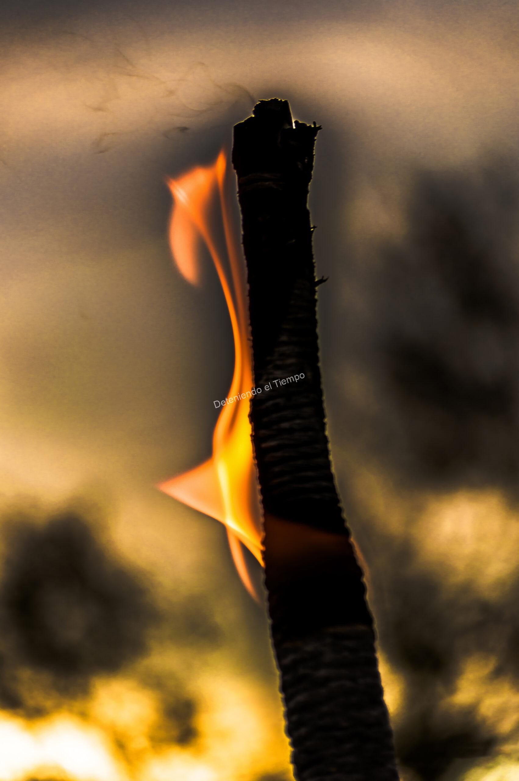 fuego, llama, combustión, calor, energía, rama quemada, madera, incendio, fuego artístico, minimalismo, abstracción, textura, silueta, luz cálida, naranja, amarillo, oscuridad, contraste, naturaleza, transformación, poder, elemento fuego, arte conceptual, detalle, macro, atmósfera, dramatismo, iluminación, movimiento, creatividad