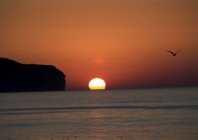 puesta de sol, atardecer, mar, ave, pájaro, vuelo, silueta, cielo naranja, horizonte, océano, reflejo, costa, calma, naturaleza, libertad, luz cálida, paisaje marino, crepúsculo, agua, fotografía artística.