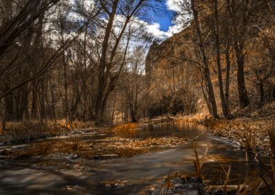 río, bosque, agua, árboles, otoño, naturaleza, paisaje, larga exposición, corriente, vegetación, tonos cálidos, hojas, arroyo, calma, entorno natural, ramas, luz natural, tranquilidad, bosque otoñal, fotografía de paisaje.