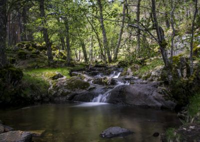 cascada, bosque, verde, agua, rocas, musgo, arroyo, río, naturaleza, larga exposición, vegetación, árboles, corriente, paisaje natural, calma, frescura, sombra, humedad, entorno natural, fotografía de paisaje.