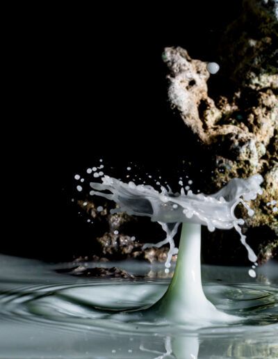 salpicadura, leche, splash, líquido, alta velocidad, fotografía creativa, movimiento congelado, macro, arte líquido, gotas, naturaleza, roca, abstracción, creatividad, impacto, estudio fotográfico, fondo negro, detalle, forma orgánica, experimento, composición artística, técnica fotográfica, fluidez, energía, instantánea, fotografía moderna, innovación, arte contemporáneo, textura, dinamismo