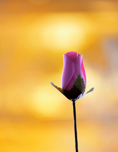 capullo rosa, flor artificial, minimalismo, fondo dorado, macro, detalle, naturaleza, rosa, bokeh, simplicidad, delicadeza, vertical, colorido, composición, floral