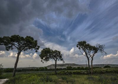 paisaje rural, árboles, campo, naturaleza, cielo, nubes, pradera, horizonte, vegetación, primavera, espacio abierto, tranquilidad, campo español, paisaje, nubes dramáticas, entorno natural, luz natural, agricultura, panorama, fotografía rural.