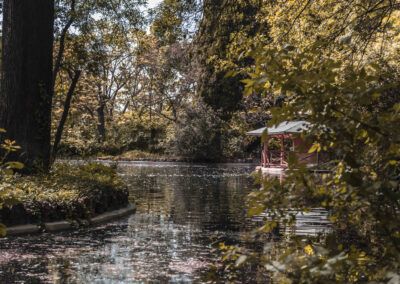 estanque, pabellón, parque, vegetación, árboles, reflejos, naturaleza, jardín histórico, otoño, agua, tranquilidad, paisaje, rincón romántico, Madrid, fotografía de naturaleza.